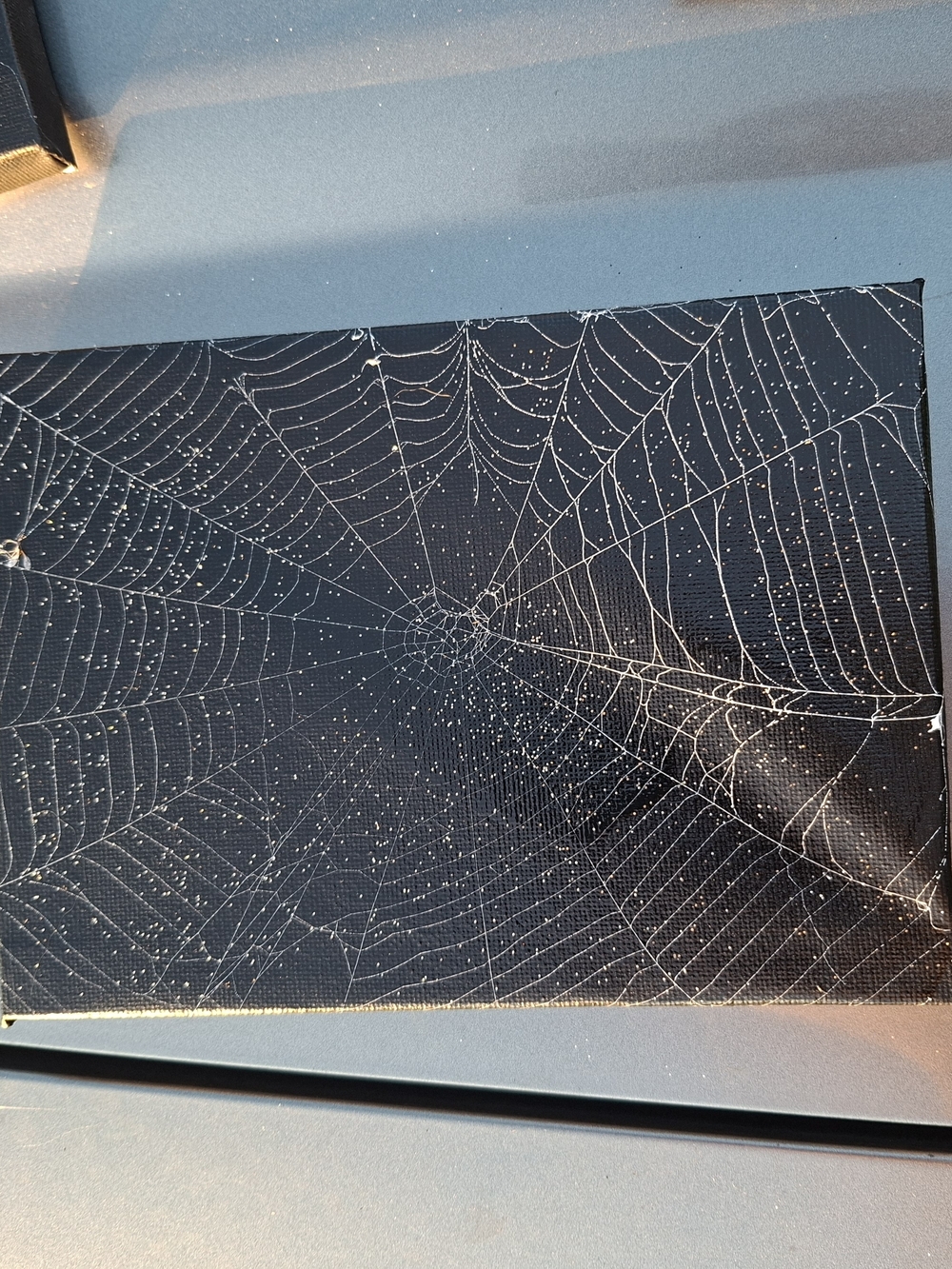 Hand Crafted Black & White Spider Web Canvas Art